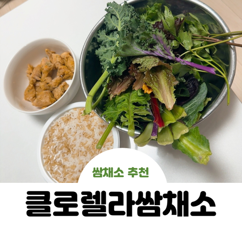 믿음야채 이미지