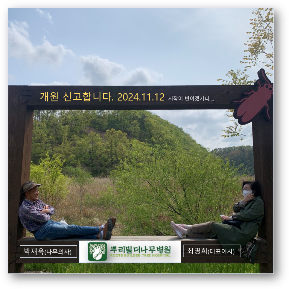 뿌리빌더나무병원 이미지