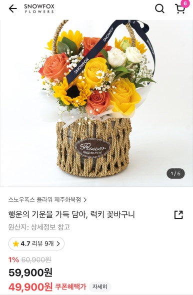 스노우폭스제주 이미지