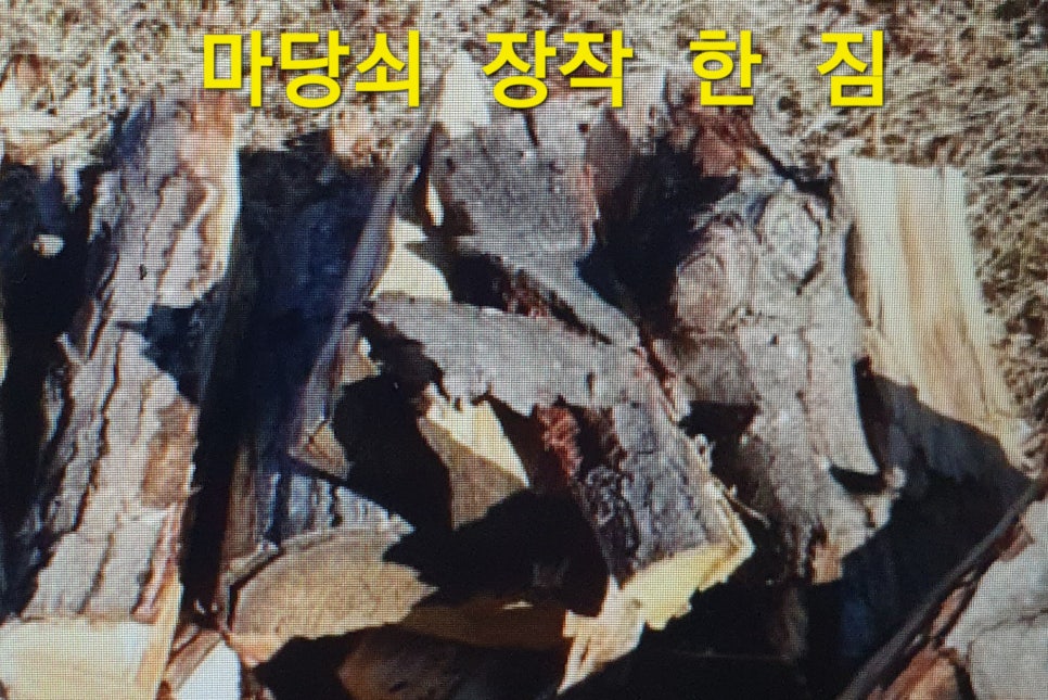 마당쇠 빗자루 이미지