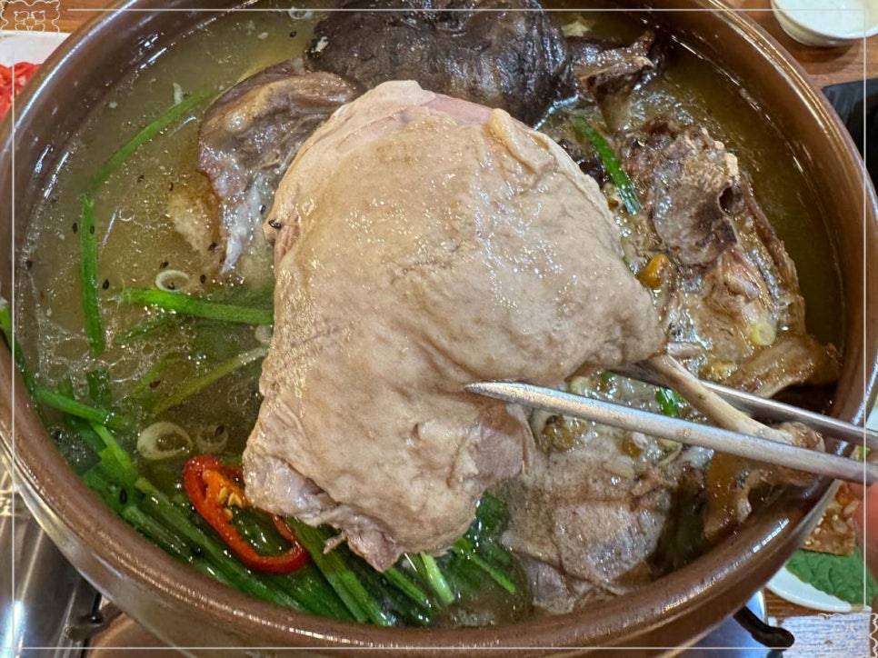 장수오리 이미지