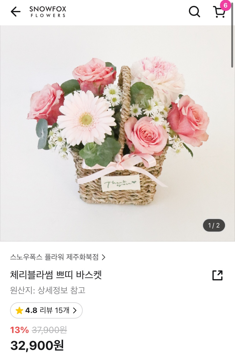스노우폭스제주 이미지