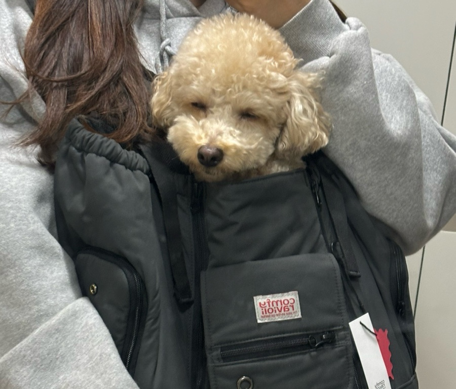 텐마일 이미지