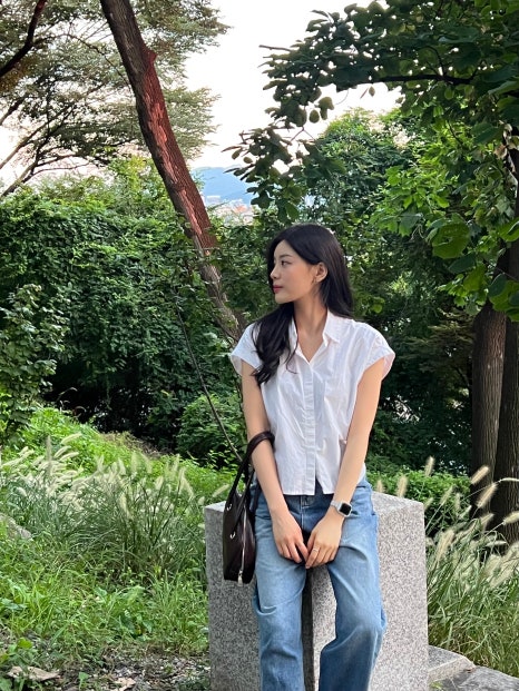 다헤어 이미지