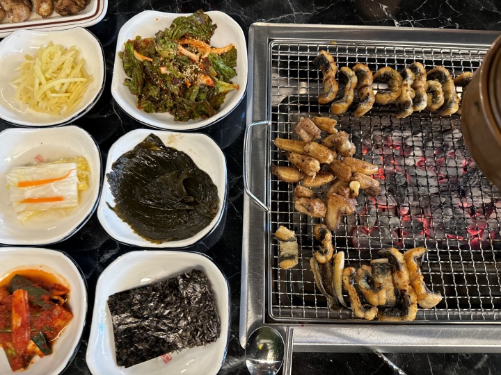 용마그집장어 이미지