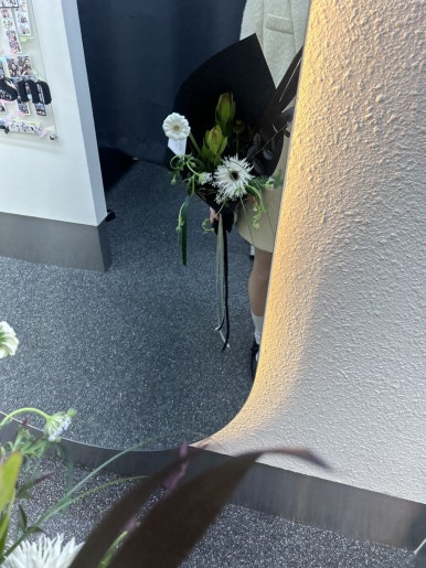 버드플레르 이미지