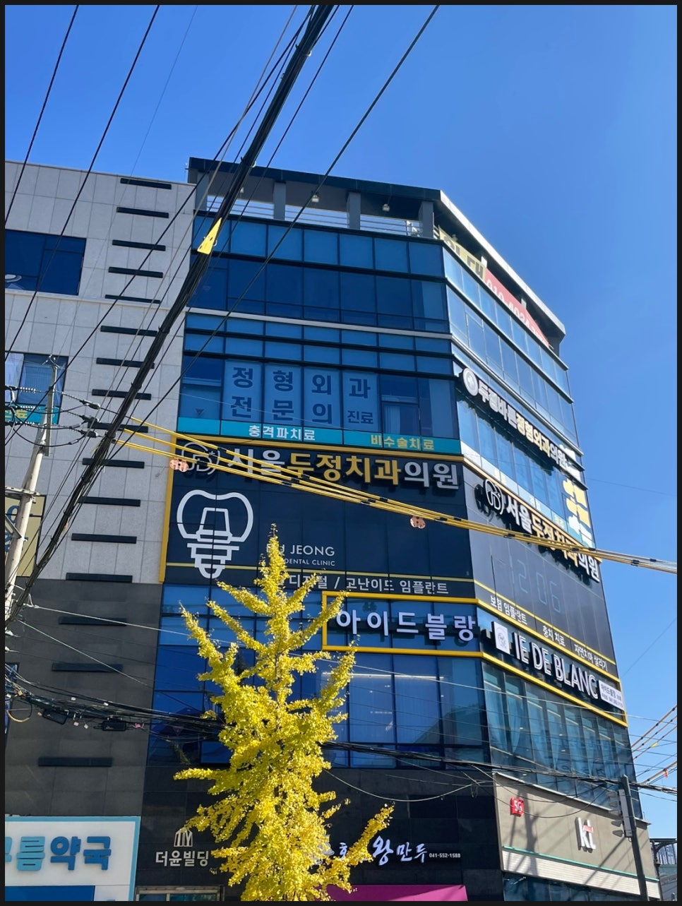 두정의원 이미지