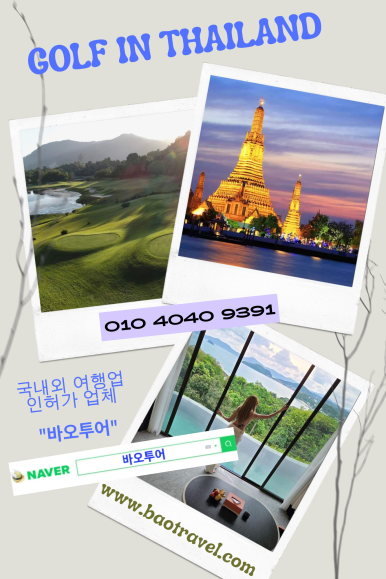 바오투어 이미지