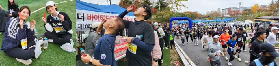 썬라이더다이렉트코리아(유) 이미지