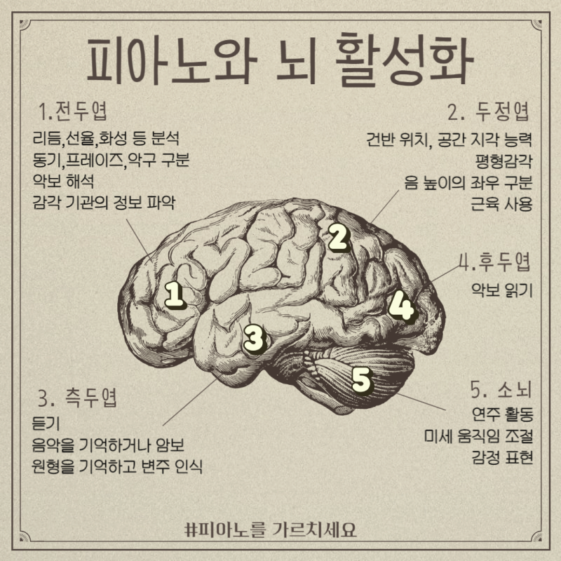이화리라음악학원 이미지
