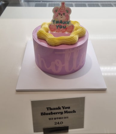 노티드대구빌리브헤리티지 이미지