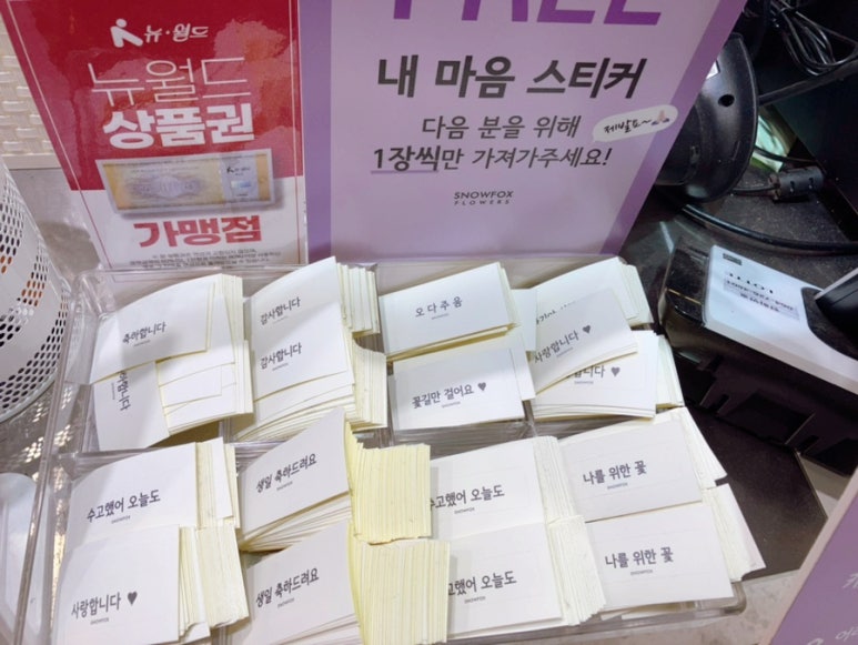 스노우폭스제주 이미지