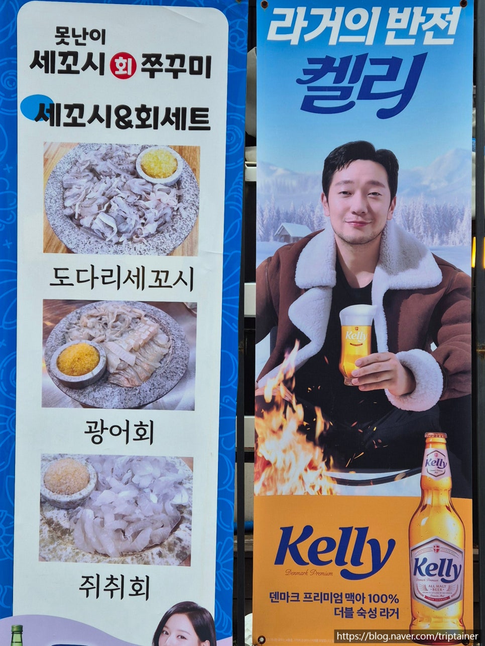못난이세꼬시회 이미지