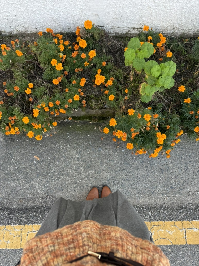 카페이플 이미지