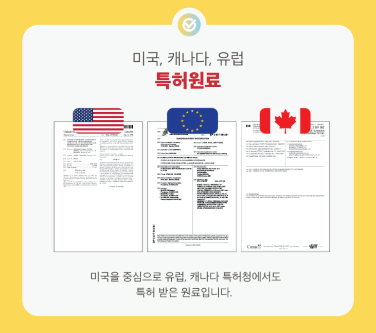 셀포랩더빛나 이미지