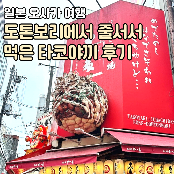 하치타코야끼 이미지