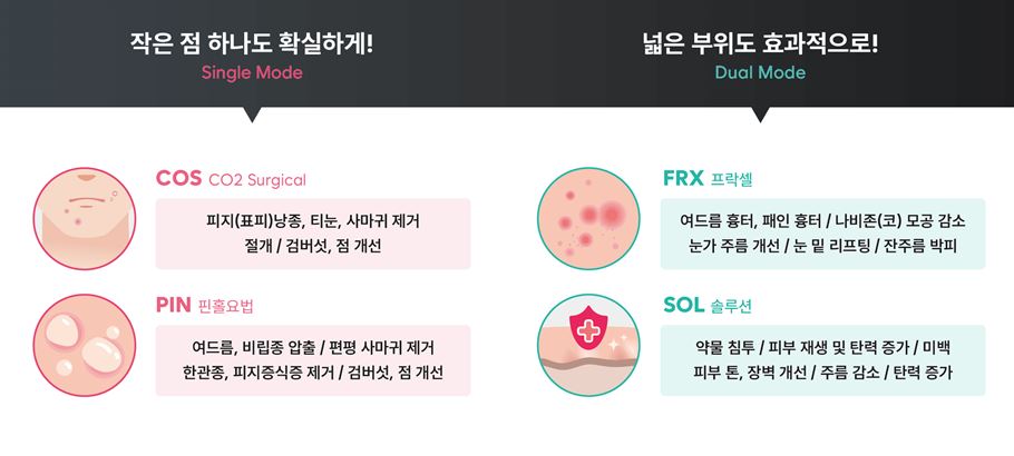 에스엔제이 이미지