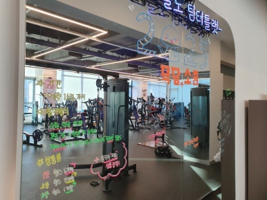 팀터틀랫유성 이미지