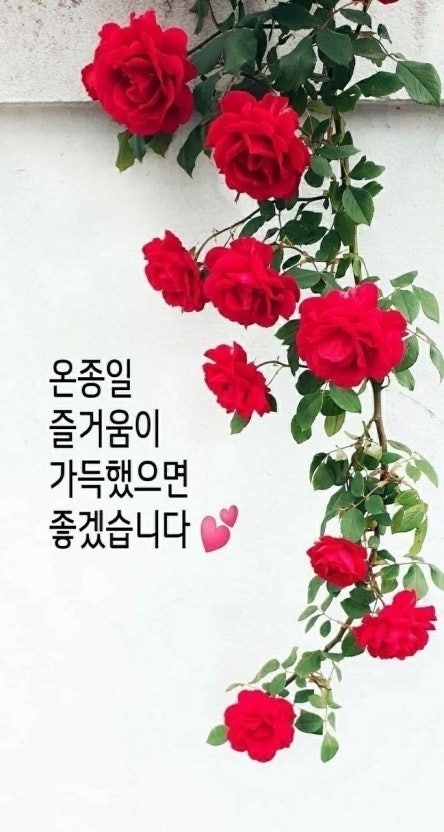 행복한날 이미지