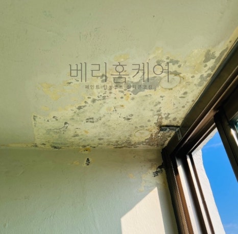 선경솔루션 이미지