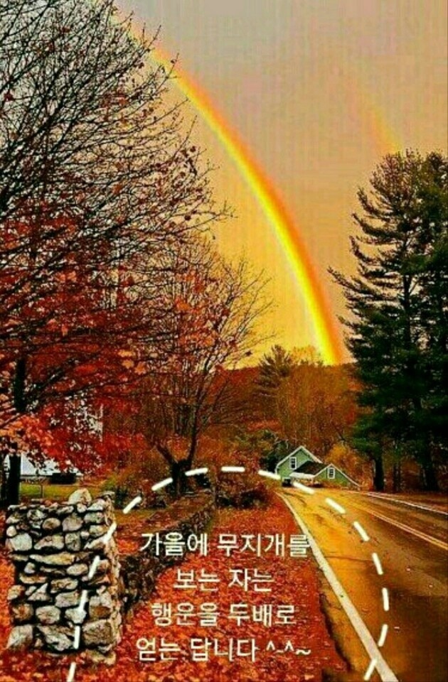 서구-17 이미지