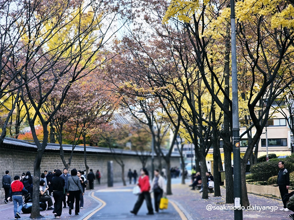 라에주 이미지