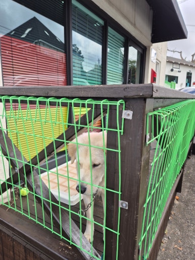 꿈낭뷔페 사진 8