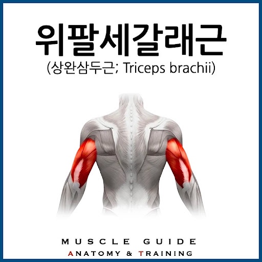 원짐 이미지