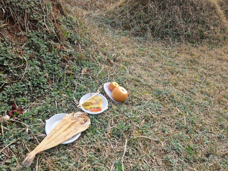 나비상조 이미지