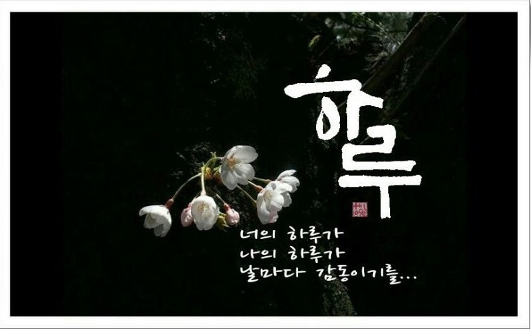 정성카츠 운남점 이미지
