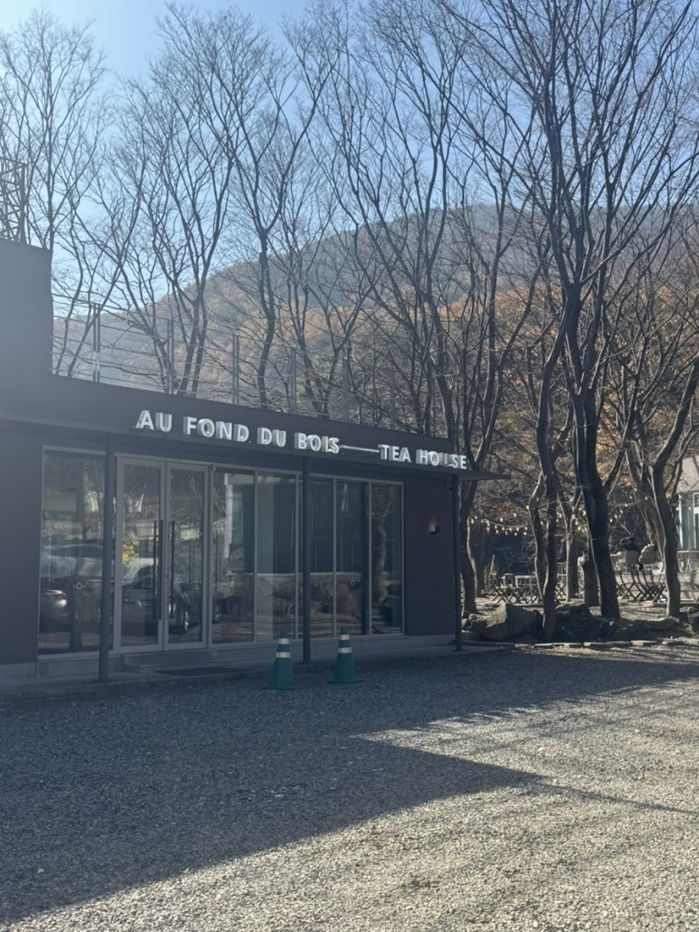 드바로티 이미지