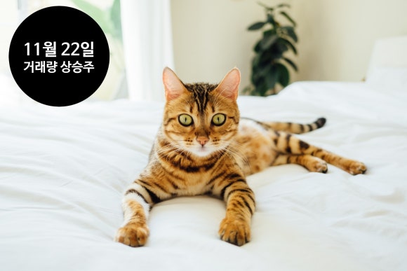 범양식품 이미지