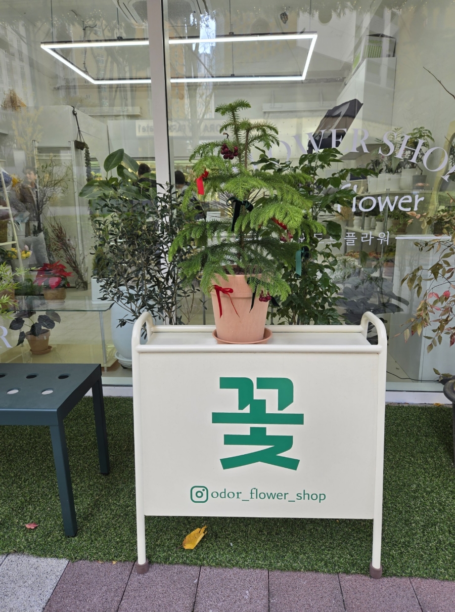 오도르플라워 이미지