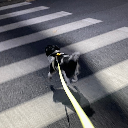윤이네집밥 이미지