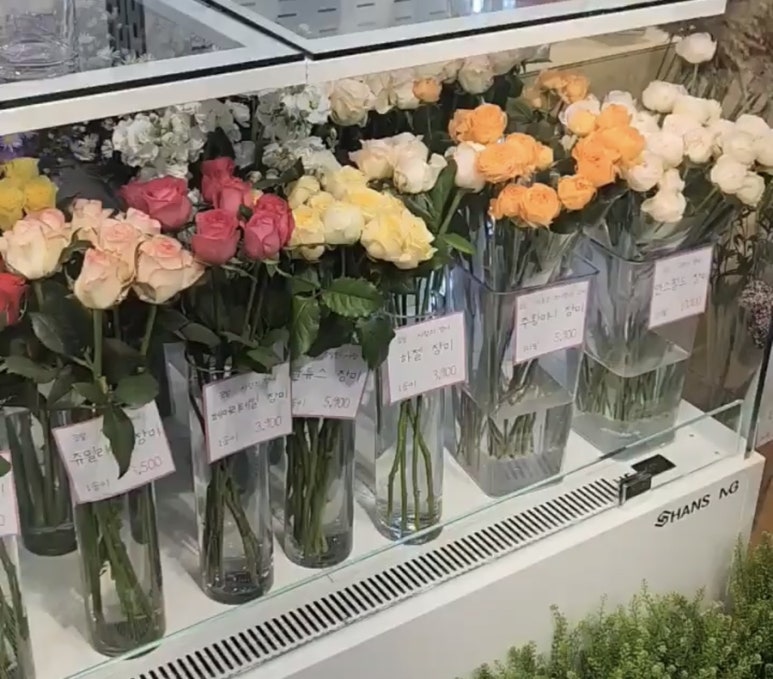 그순간꽃부천 이미지