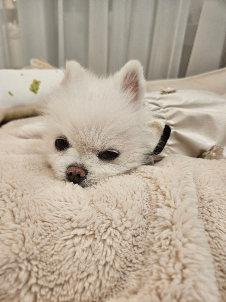 발레블리아카데미학원 이미지