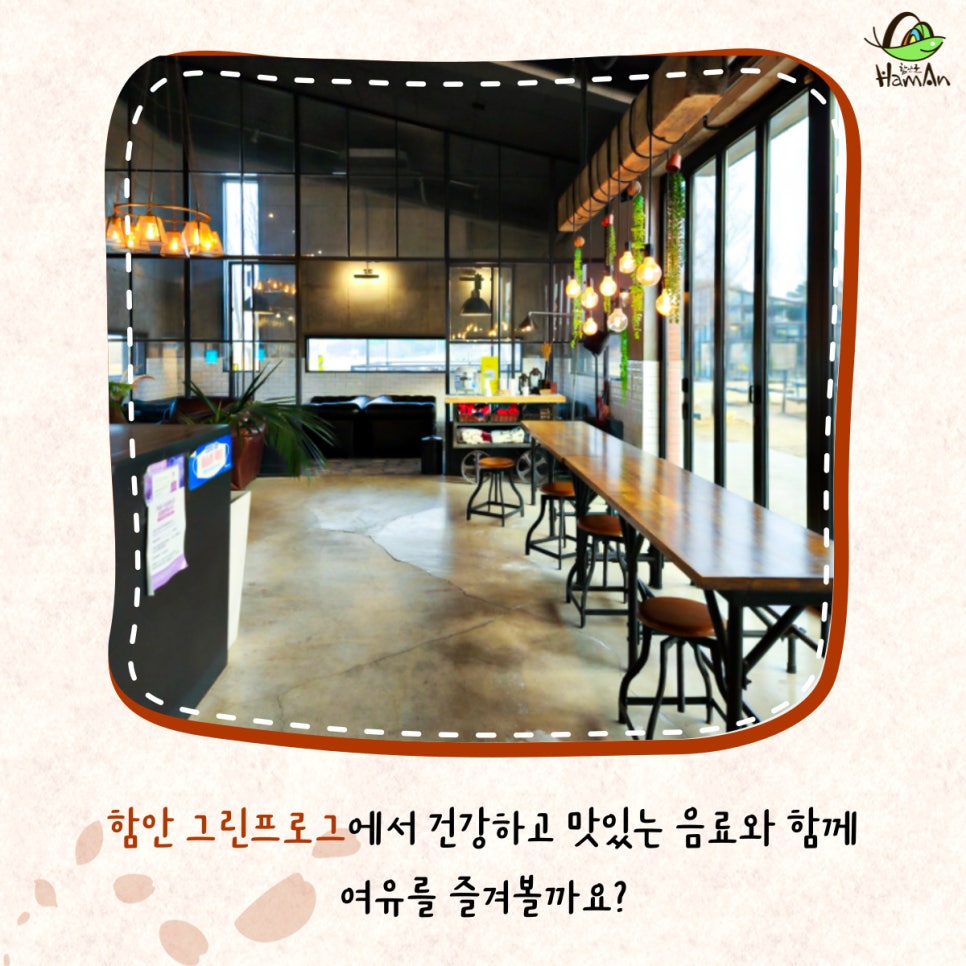 노바블룸디자인 이미지