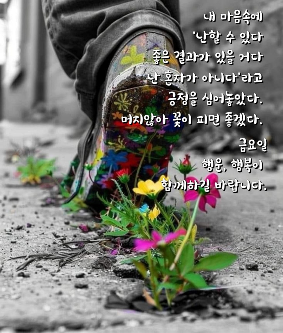 고핏 이미지