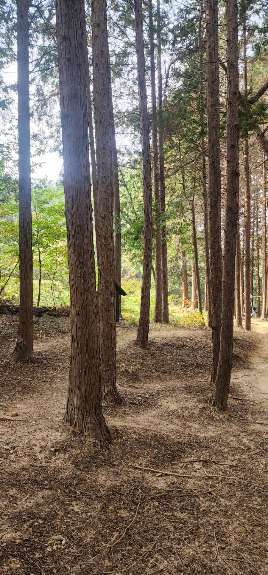 막스시오전주 이미지