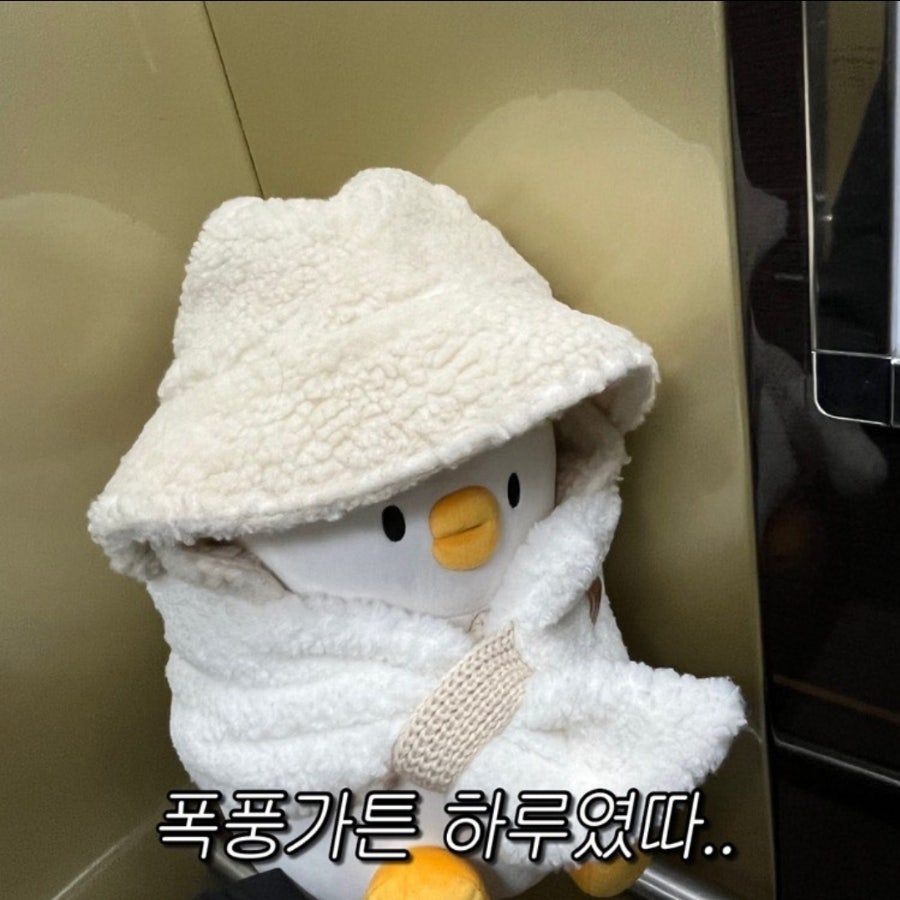 포토그래퍼바다 이미지