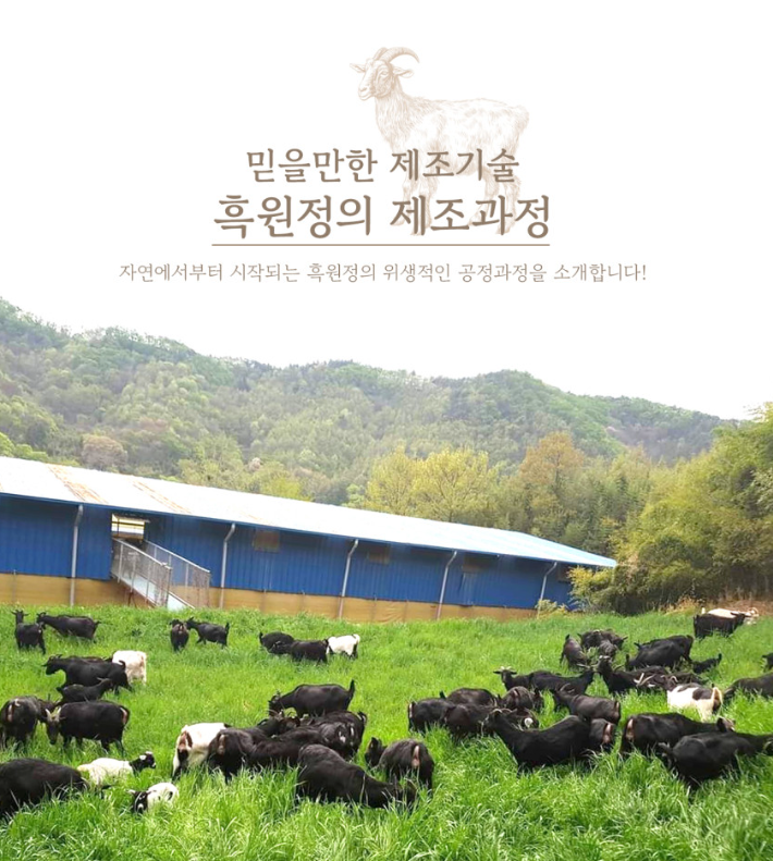원정흑염소 이미지