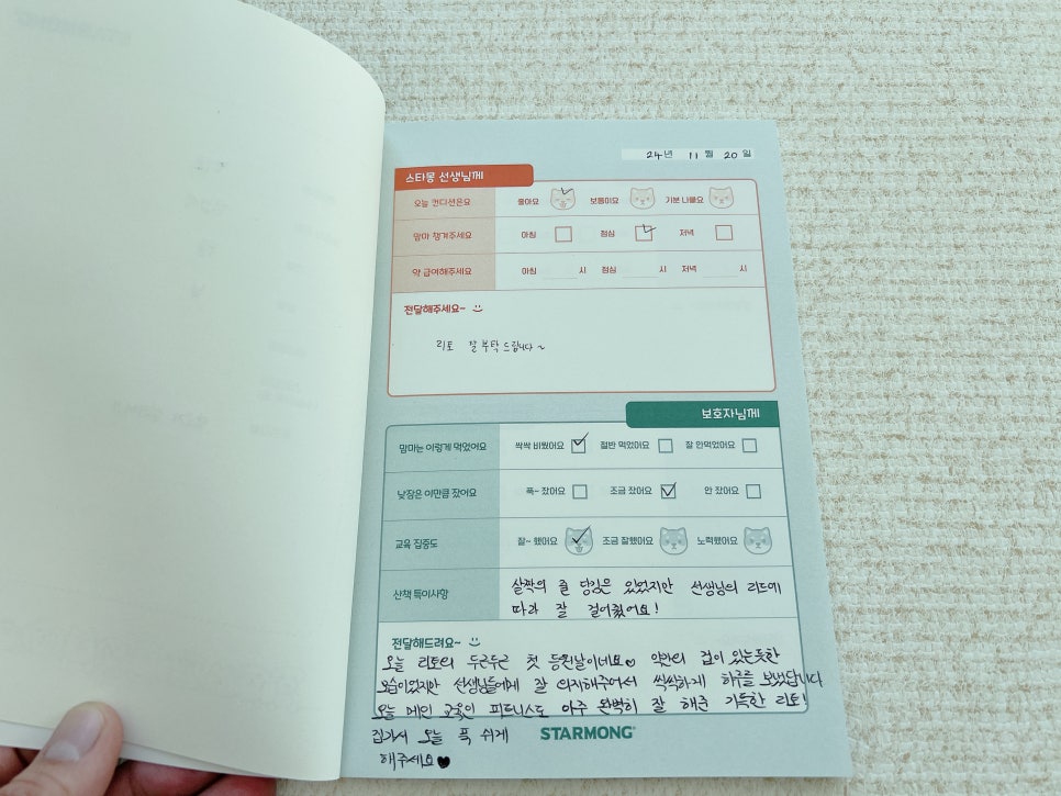 강남 강아지 유치원 스타몽, 매일 산책하는 서초 애견유치원 — 사진 20