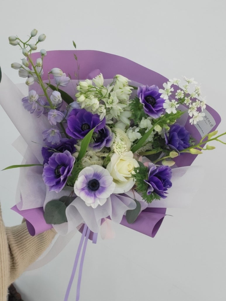 모코코플레르 이미지