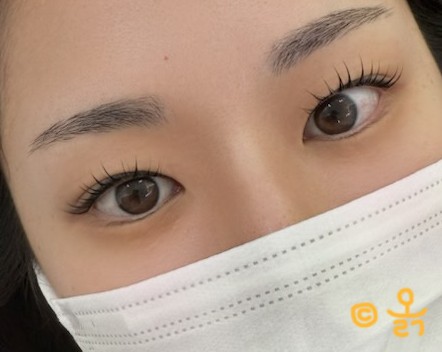소소히브로우 이미지