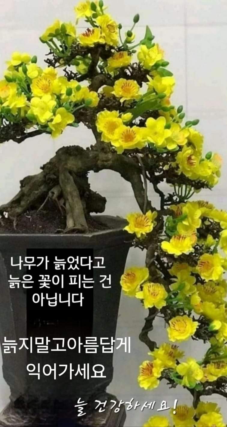 매듭 이미지