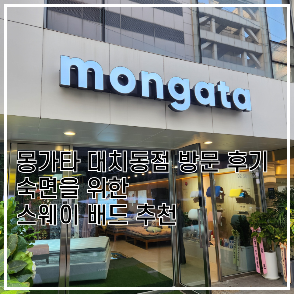 몽가타 이미지