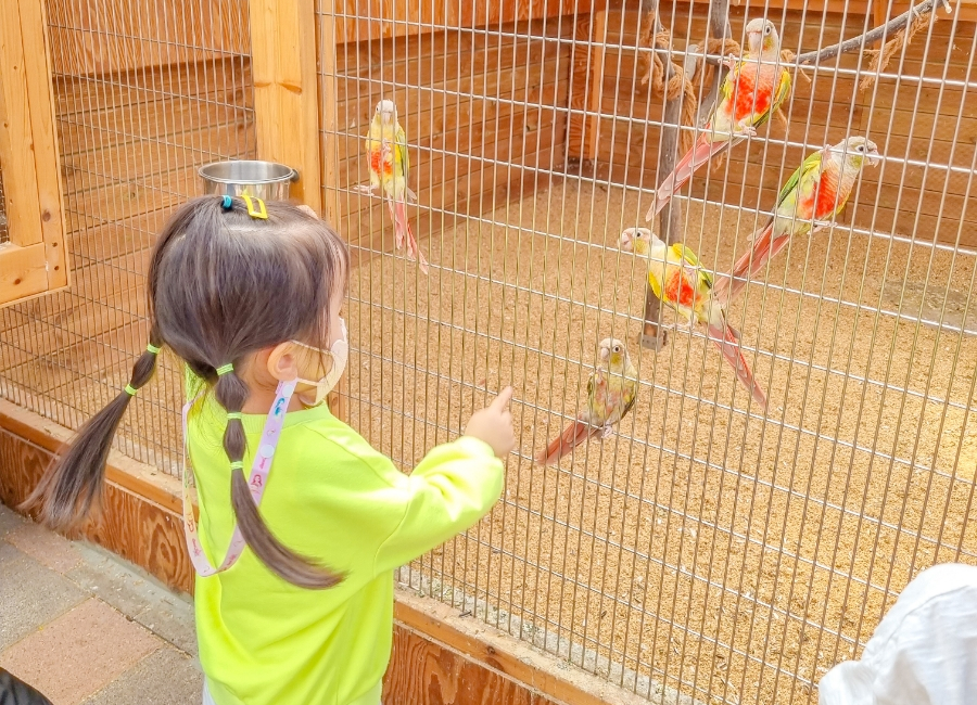 오봉산유아숲체험원 이미지