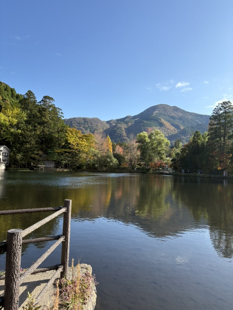 별천지야식 이미지