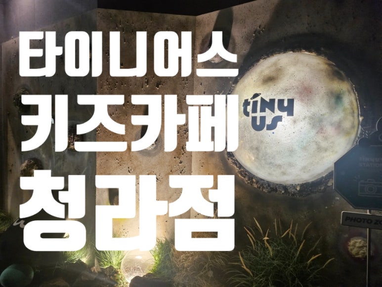 타이니어스 이미지