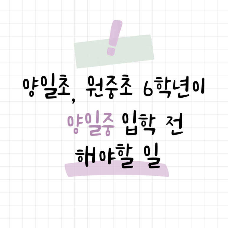 리체움교육 이미지